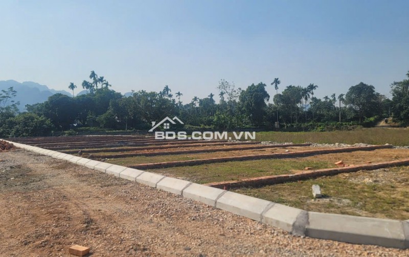 BÁN ĐẤT GIÁ RẺ CHỈ HƠN 300 TRIỆU CÁCH KHU CÔNG NGHIỆP PHÚ THÀNH CHỈ 5 PHÚT CHẠY XE